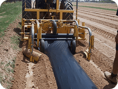 Mulch film in operation