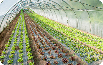Trusted across Australian farm